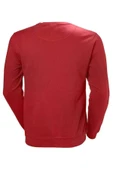 Helly Hansen LOGO CREW SWEAT thumbnail 2