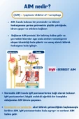 AIM30 Supplement thumbnail 3
