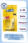 AIM30 Supplement thumbnail 2