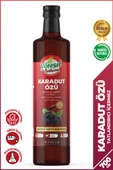 Yöresel Bahçem Karadut Özü 700 Ml thumbnail 1