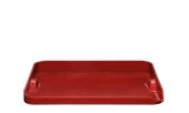 Emile Henry EH617546 Plancha, Allık Alev thumbnail 1