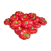 Domates Biberi Tohumu 5 gr-500+ Adet thumbnail 2