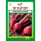 Kırmızı Pancar Tohumu 10 Gram thumbnail 1