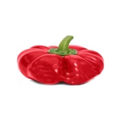 Domates Biberi Tohumu 5 gr-500+ Adet thumbnail 4