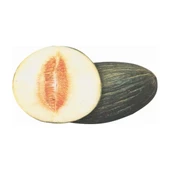 Hasanbey Kavun Tohumu (10 Gr) thumbnail 2