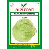 Iceberg Marul Tohumu 5 Gram thumbnail 1