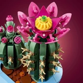Çiçekli Kaktüs 11509 thumbnail 3