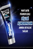 Signal White Now Men Diş Macunu 75 ml 2 Adet thumbnail 3