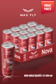 Max Fly Nova Enerji 250 ml 12 Adet thumbnail 1