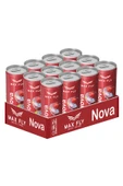 Max Fly Nova Enerji 250 ml 12 Adet thumbnail 3