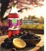 Karadut Özlü Limonata 1 litre 4 Adet thumbnail 1