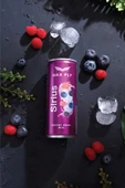 Max Fly Sirius Enerji İçeceği 250 ml 24 Adet thumbnail 3