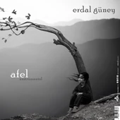 Erdal Güney Perihel-Afel (Enstrümantal) - Plak thumbnail 2
