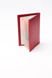 World Pasaportluk thumbnail 5