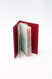 World Pasaportluk thumbnail 4