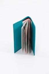 World Pasaportluk thumbnail 2