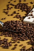 Caturra Espresso Dark 500 Gr thumbnail 2