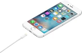 Apple Lightning - USB Kablosu 0.5 m - TESHİR thumbnail 4