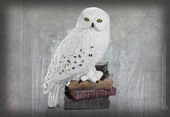 Noble Collection - Magical Creatures No. 1 - Hedwig thumbnail 2