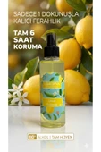 LIMONYA Limon Kolonyası thumbnail 1