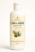 Şifakür Çam Ardıç Katranlı Keratin Şampuan Kepek Karşıtı Tuzsuz 400ml thumbnail 6