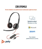 Poly BW 3220 Stereo USB-C HS +USB-C/A thumbnail 6