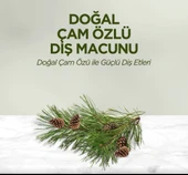 Doğal Diş Macunu 90 Gr Çam Özlü thumbnail 1