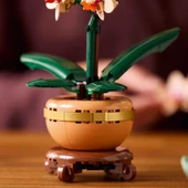 Botanicals Mini Orkide 10343 thumbnail 1