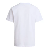 The North Face M EVOLUTION SIMPLE DOME REGULAR  Erkek Tişört NF0A8CZ2FN41 thumbnail 5