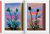 Taschen David Hockney. My Window thumbnail 6