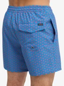 Quiksilver STRETCH PRINTED Erkek Şort EQYJV04217-QK.BLC2 thumbnail 4
