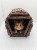 YUVA. HAMSTER.KUŞ. SİNCAP YUVASI thumbnail 3