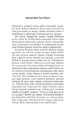 Hançerdeki Yara İzleri / Sefer Göltekin thumbnail 8