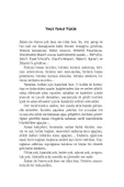 Hançerdeki Yara İzleri / Sefer Göltekin thumbnail 7