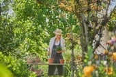 Gardena Comfort Kleingeräte-Set thumbnail 3