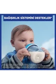 Aptamil Pronutra 2 Devam Sütü 900 gr thumbnail 3