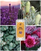 REBUL KOLONYA 125  ML LAVANDA thumbnail 2