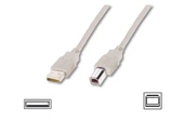 Digitus Yazıcı Kablosu Bej USB 2.0 (3m) thumbnail 1