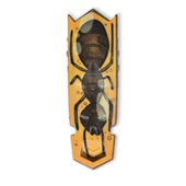 HexBots Nano Newton thumbnail 3