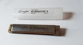 MIZIKA 20 DELİK PROFESSIONAL HARMONICA thumbnail 2