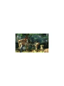 Uncharted Drakes Schicksal Ps3 CD Oyun Tehşir thumbnail 5