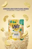 Freeze Dried Ananas 15g thumbnail 4