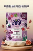 Freeze Dried İncir 25g thumbnail 2