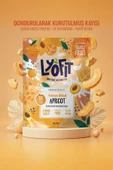 Freeze Dried Kayısı 25g thumbnail 2