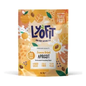 Freeze Dried Kayısı 25g thumbnail 1