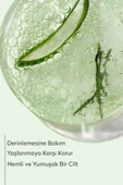 DERMOKİL ALOE VERA JEL 300ML thumbnail 3