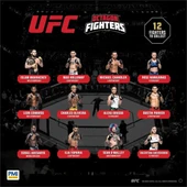 PMI/UFC2009 thumbnail 3