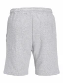 Jack Jones Gordon Bradley Regular Fit Erkek Şort 12249285 thumbnail 6