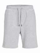 Jack Jones Gordon Bradley Regular Fit Erkek Şort 12249285 thumbnail 5