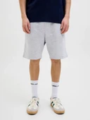 Jack Jones Gordon Bradley Regular Fit Erkek Şort 12249285 thumbnail 1